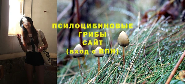 прущий лед Арсеньев