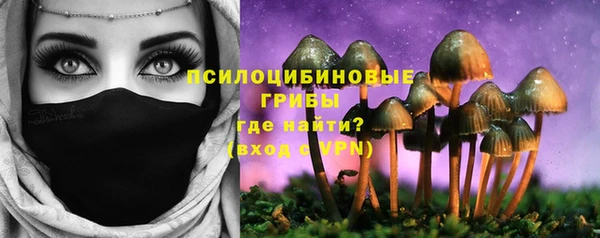 спиды Алексеевка